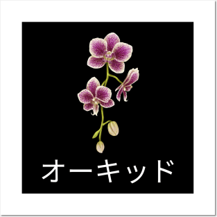 Orchid Japan Japanese Nihon Plant Flower Since Vintage Posters and Art